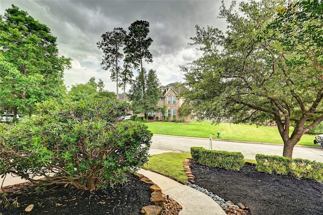 30 N Scribewood Cir, The Woodlands, TX 77382 - view of grassy yard
