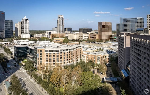 1901 Post Oak Blvd Unit 3101, Houston, TX 77056 - skyline view