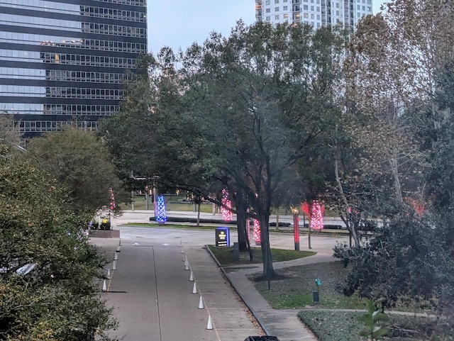 1901 Post Oak Blvd Unit 3101, Houston, TX 77056 - view of property's community