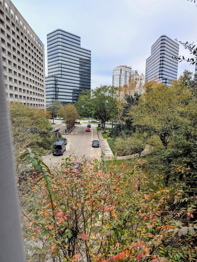1901 Post Oak Blvd Unit 3101, Houston, TX 77056 - view of community