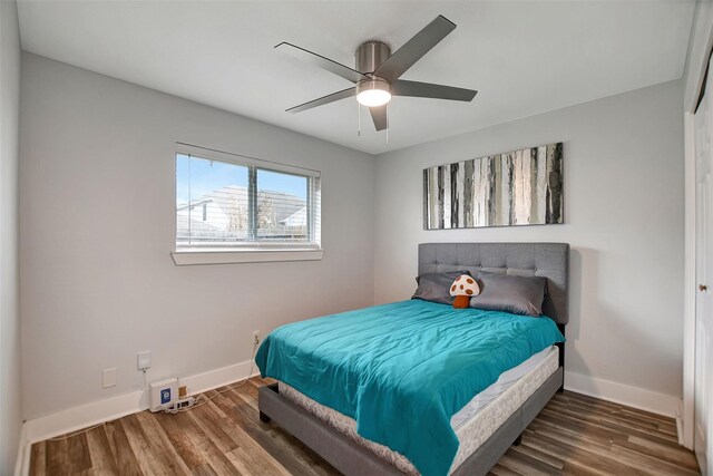 16806 Carbridge Dr, Houston, TX 77084 - bedroom featuring wood finished floors and ceiling fan