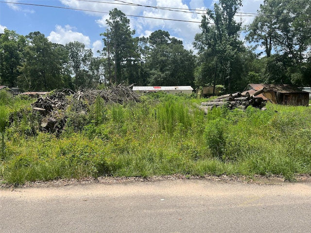 0 Old Coffin Rd, Conroe, TX 77302