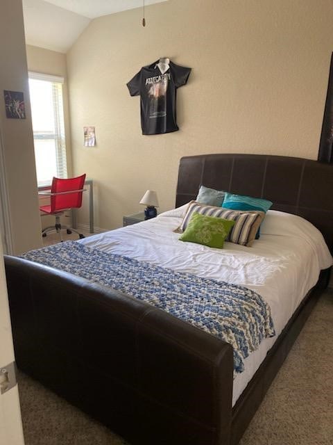 6727 Trinity Trail Ln, Richmond, TX 77469 - bedroom with lofted ceiling and carpet flooring