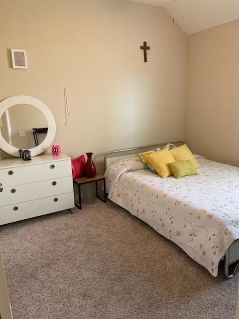 6727 Trinity Trail Ln, Richmond, TX 77469 - carpeted bedroom with vaulted ceiling