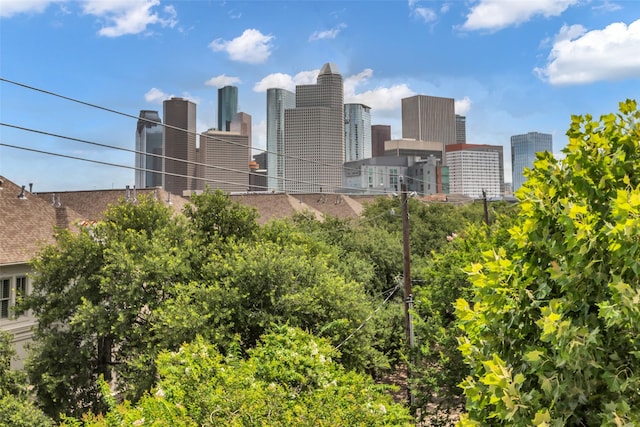 1403 Cook St, Houston, TX 77006 - photo 38