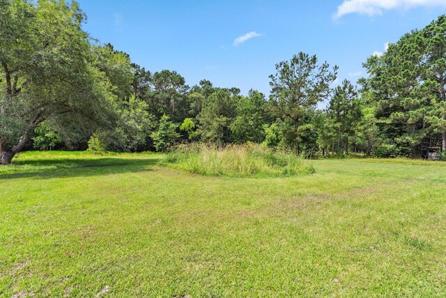 113 County Road 2229, Cleveland, TX 77327 - photo 24