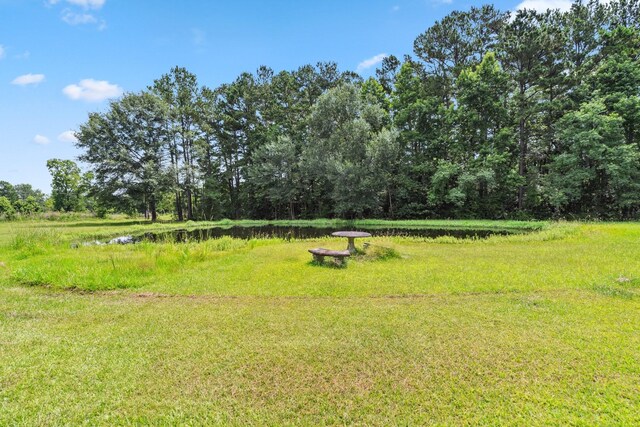 113 County Road 2229, Cleveland, TX 77327 - photo 27