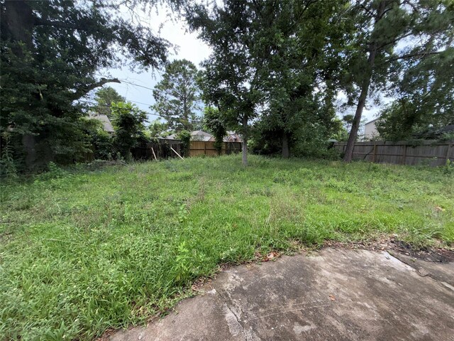 1151 Creekmont Dr, Houston, TX 77091 - view of yard