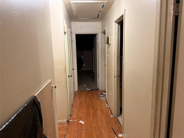 1151 Creekmont Dr, Houston, TX 77091 - hallway with light wood-type flooring and attic access