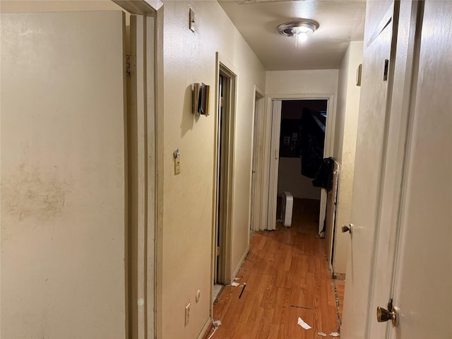 1151 Creekmont Dr, Houston, TX 77091 - hall with light wood-style floors