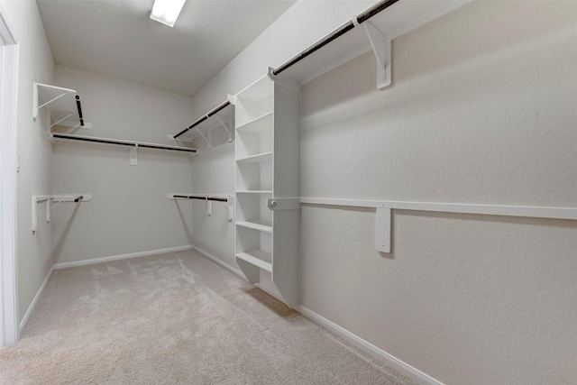 24014 Bluestem Ridge Ct, Katy, TX 77493 - walk in closet featuring carpet flooring