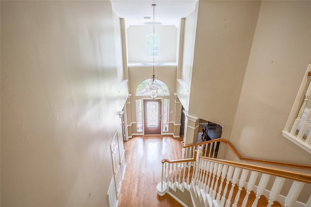 3718 W Pine Brook Way, Houston, TX 77059 - foyer with plenty of natural light, a chandelier, a towering ceiling, and wood finished floors