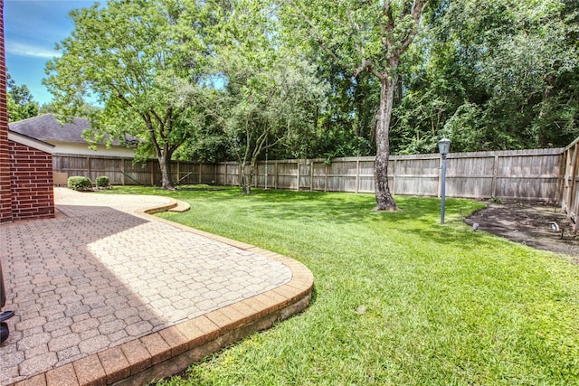 3718 W Pine Brook Way, Houston, TX 77059 - fenced backyard featuring a patio area