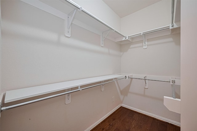 19339 Oxford Haven Dr, Cypress, TX 77433 - walk in closet featuring dark wood-style floors