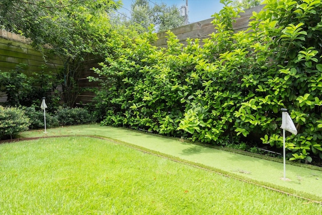 1010 Waltway Dr, Houston, TX 77008 - view of yard with a putting green
