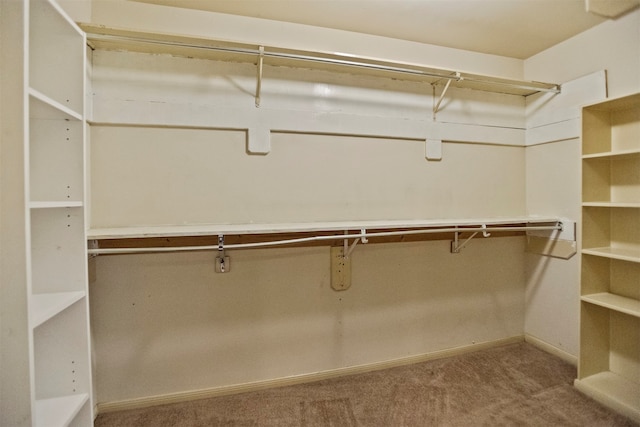 14202 Double Pine Dr, Houston, TX 77015 - walk in closet featuring carpet flooring