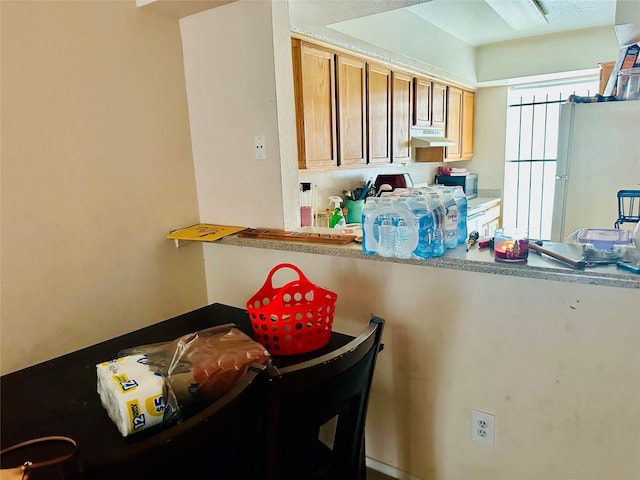 12656 Windsor Village Dr Unit 2656, Houston, TX 77071 - kitchen with freestanding refrigerator, under cabinet range hood, stainless steel microwave, light countertops, and brown cabinetry