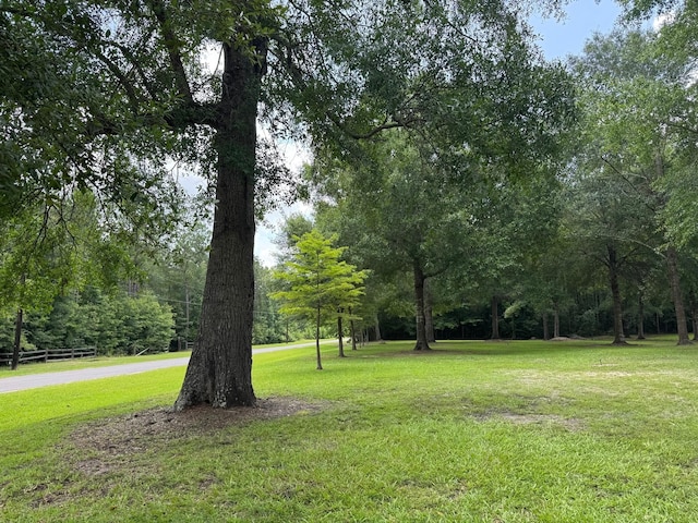 147 County Road 4772, Warren, TX 77664 - view of yard