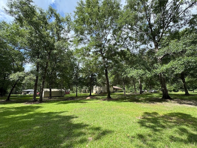 147 County Road 4772, Warren, TX 77664 - view of green lawn