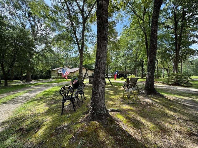 147 County Road 4772, Warren, TX 77664 - view of yard featuring view of scattered trees