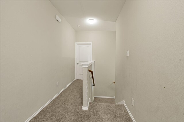 20402 Lookout Bend Dr, Humble, TX 77338 - photo 12