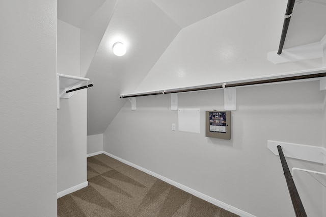 13310 Hidden Valley Dr, Montgomery, TX 77356 - walk in closet with lofted ceiling and carpet floors