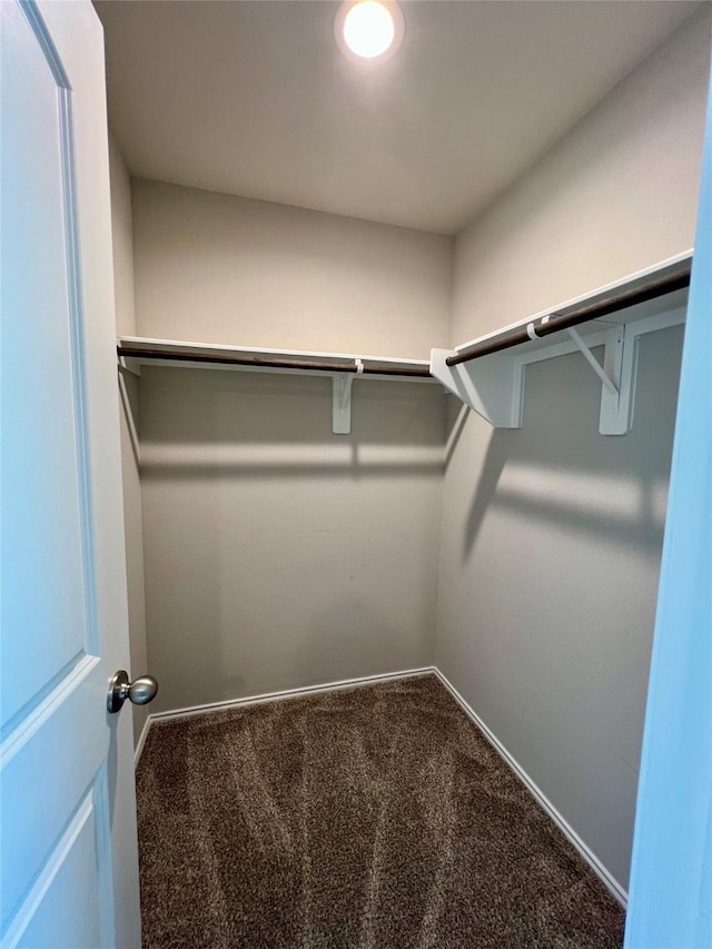21540 Rustic Elm Dr, New Caney, TX 77357 - walk in closet with carpet