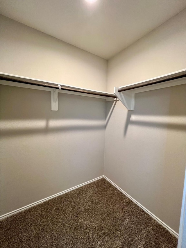 21540 Rustic Elm Dr, New Caney, TX 77357 - walk in closet with carpet flooring