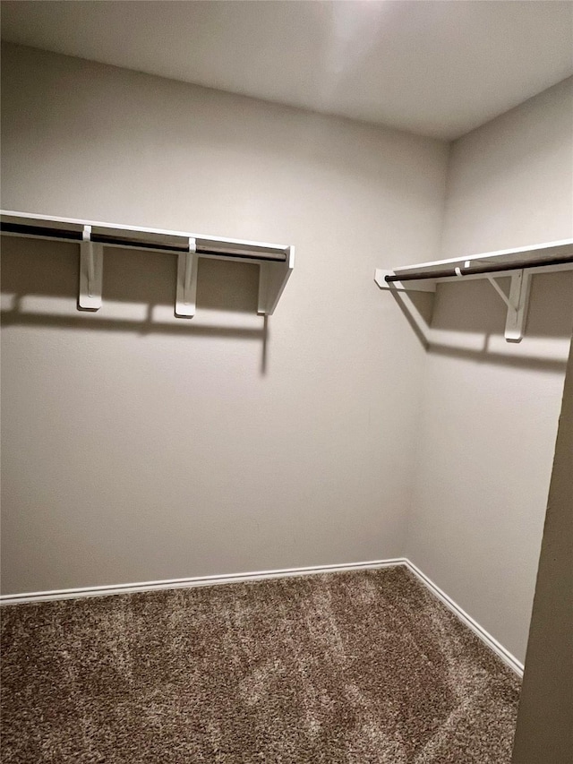 21540 Rustic Elm Dr, New Caney, TX 77357 - spacious closet with carpet flooring