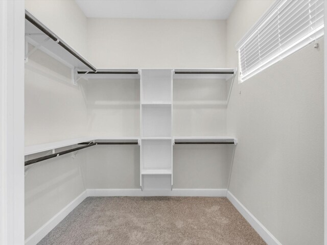 603 N Milby Unit B, Houston, TX 77003 - photo 18