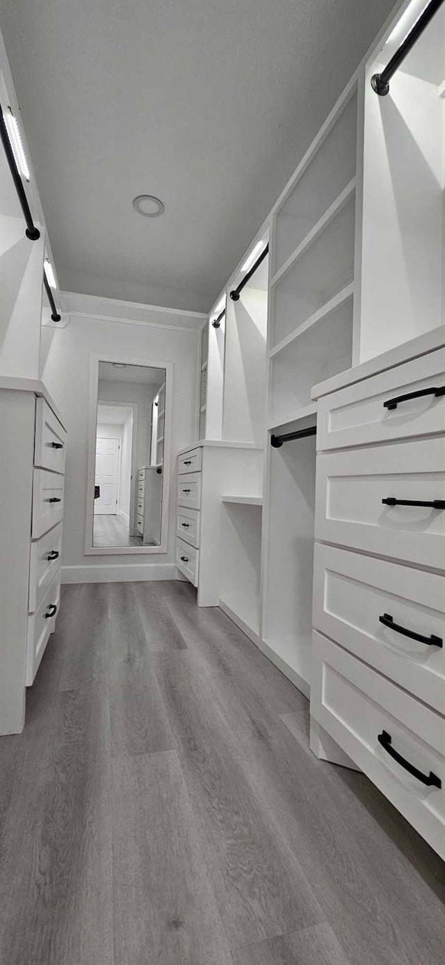 47 W Dansby Dr, Galveston, TX 77551 - walk in closet with dark wood-style floors