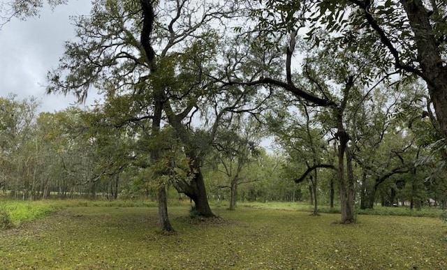 202 Jones Rd, Angleton, TX 77515