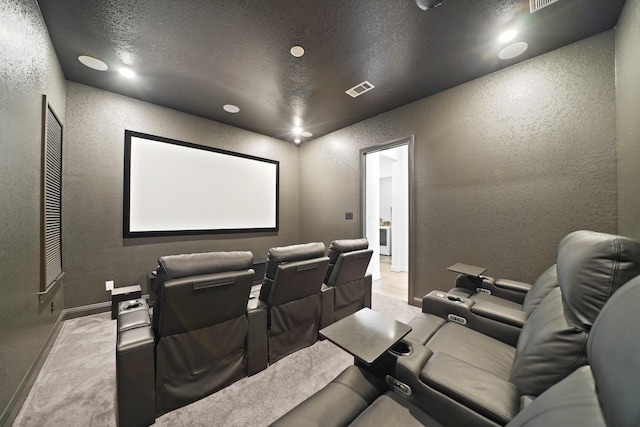 24914 Heather Glade Trl, Tomball, TX 77375 - home theater room with a textured wall, a textured ceiling, and carpet