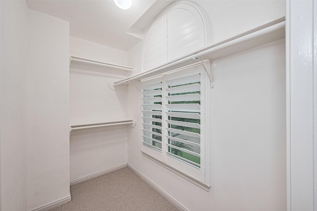 6018 Rapid Creek Ct, Houston, TX 77345 - spacious closet featuring carpet flooring