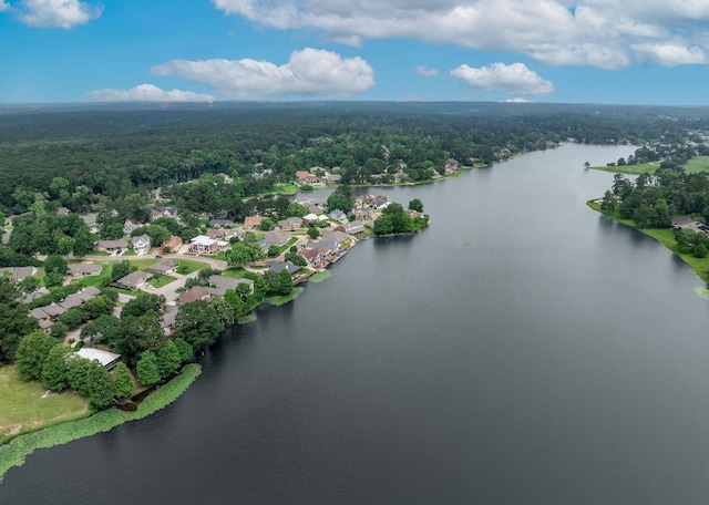 1600 Wimbledon Dr, Huntsville, TX 77340 - aerial view of residential area featuring a heavily wooded area and a large body of water