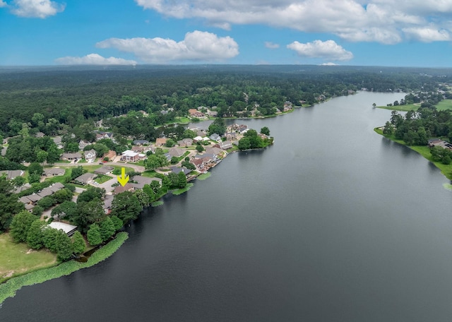 1600 Wimbledon Dr, Huntsville, TX 77340 - aerial view of residential area with a heavily wooded area and a nearby body of water