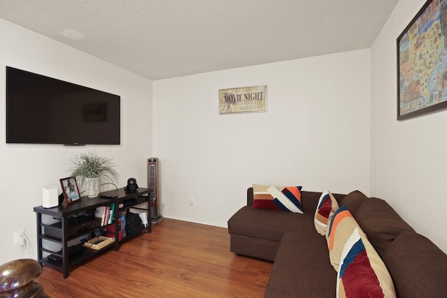 1202 Fairlane Sq, Channelview, TX 77530 - living area featuring wood finished floors