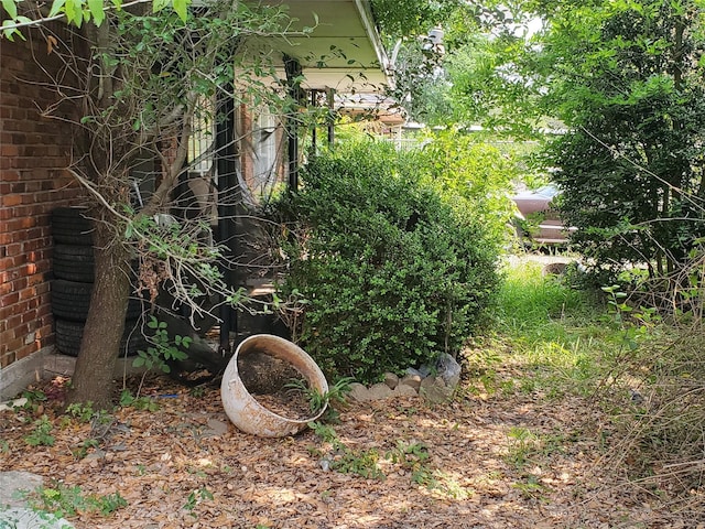 10221 Bretton Dr, Houston, TX 77016 - view of yard