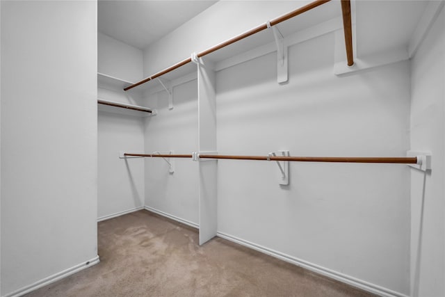 20607 Dademount Ct, Richmond, TX 77407 - spacious closet featuring carpet