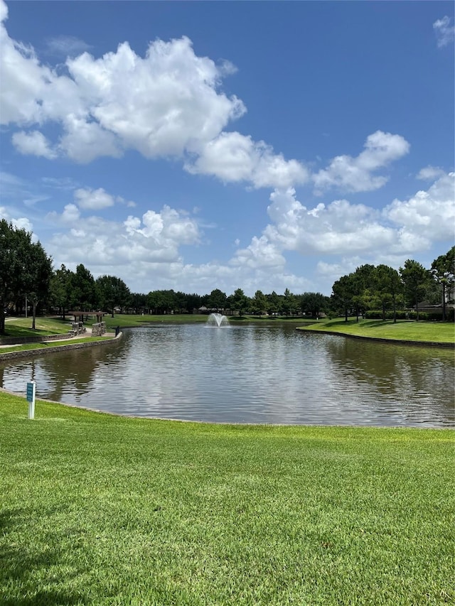 20607 Dademount Ct, Richmond, TX 77407 - water view