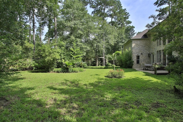 62 Chamomile Ct, The Woodlands, TX 77382 - photo 43
