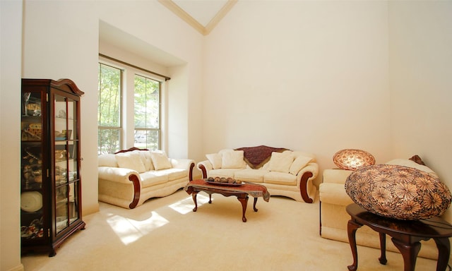 62 Chamomile Ct, The Woodlands, TX 77382 - photo 6