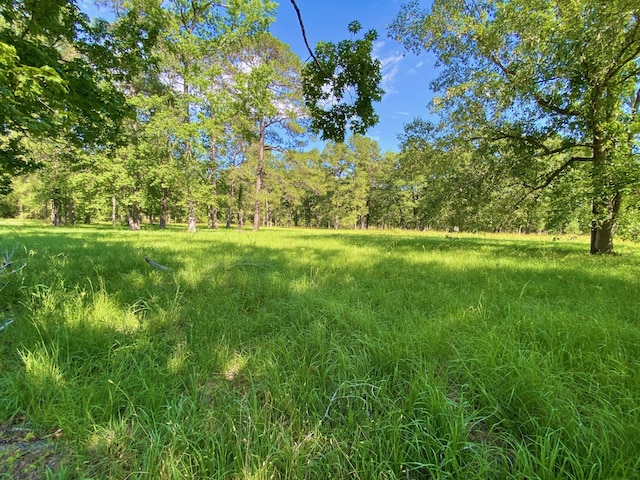 328 Mcguire Rd, Lufkin, TX 75901 - view of yard