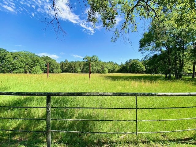 328 Mcguire Rd, Lufkin, TX 75901 - view of yard with a wooded view