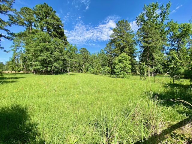 328 Mcguire Rd, Lufkin, TX 75901 - view of local wilderness