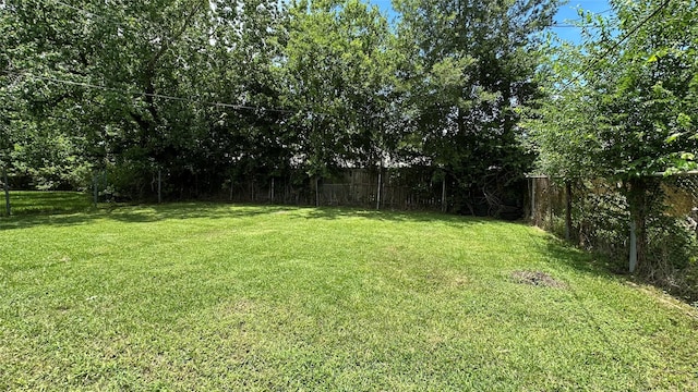 7338 Hurtgen Forest Rd, Houston, TX 77033 - view of yard
