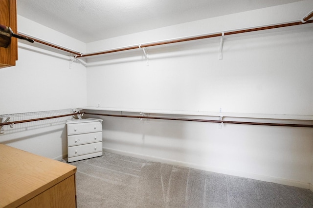 2630 Skyview Crest Ct, Houston, TX 77047 - spacious closet with carpet flooring