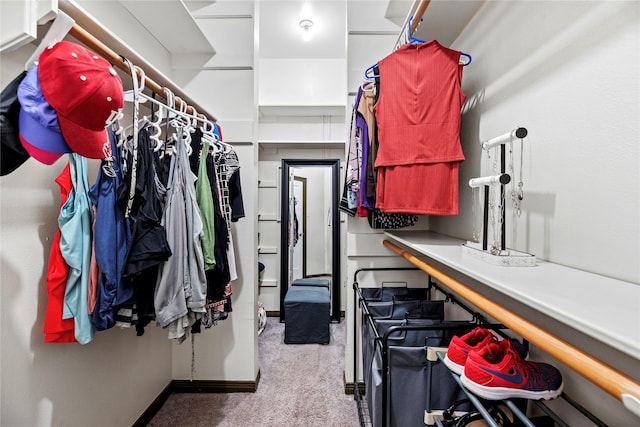 4611 Diamond Springs Dr, Missouri City, TX 77459 - walk in closet featuring carpet