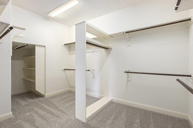 20226 Overland Hills Ln, Cypress, TX 77433 - spacious closet with carpet