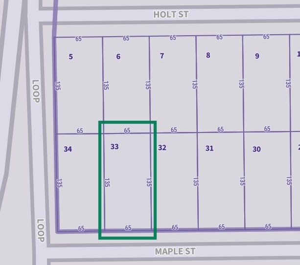 4626 Maple St, Bellaire, TX 77401
